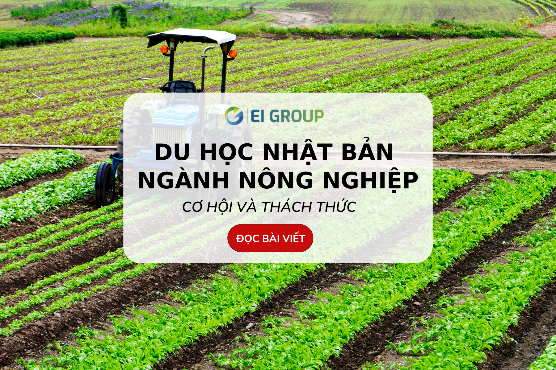 DU HỌC NHẬT BẢN NGÀNH NÔNG NGHIỆP: CƠ HỘI VÀ THÁCH THỨC